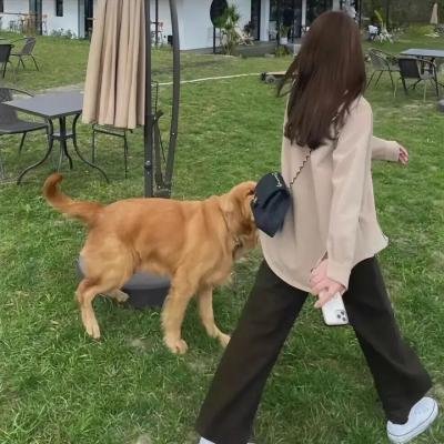 不一样的妈妈
